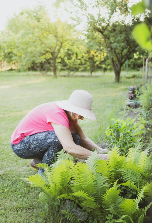 How To Make My Garden Look Ravishing with simple fixes!?