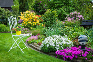 5 Quick Tips To Upgrade Your Garden Look & Feel